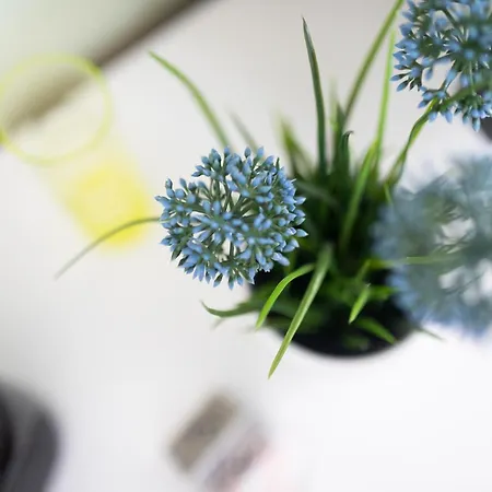 Haus Coordes 03 דירה נורדרני